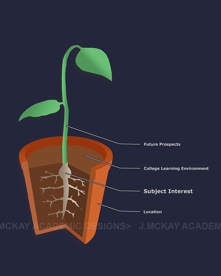 Illustration 1: Sapling